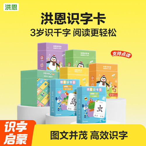 洪恩配套儿童描红本识字卡片