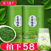 茶叶绿茶2025新茶叶高山云雾茶毛尖茶散装 买1发2 日照足共500g