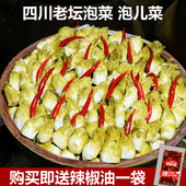 2026年新儿菜娃娃菜母子菜四川农家老坛发酵泡菜酸辣脆爽下饭即食