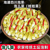 2026年新儿菜娃娃菜母子菜四川农家老坛发酵泡菜酸辣脆爽下饭即食
