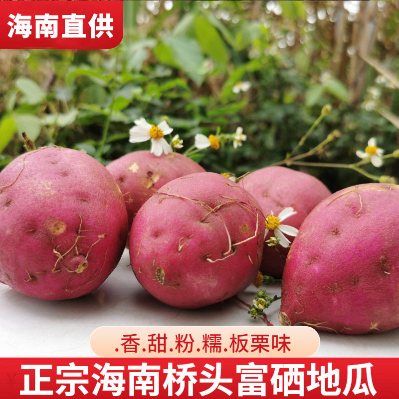 农家人 海南自家种植 海南澄迈桥头富硒地瓜10斤新鲜红薯山芋板栗