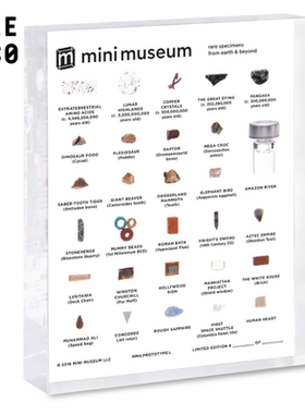 博物馆历史恐龙礼盒装标本