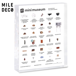 美国代购Mini museum真实标本迷你博物馆科学历史恐龙礼物礼盒装.