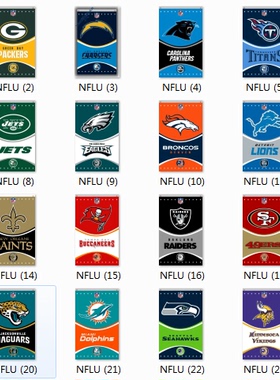 Football Team Flag nfl 橄榄球队球迷旗帜 可定制任意款式旗帜