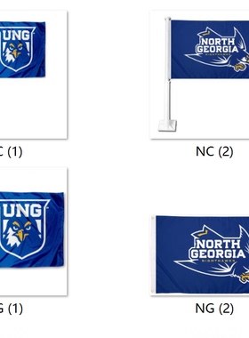 North Georgia Nighthawks University College Flag大学旗帜