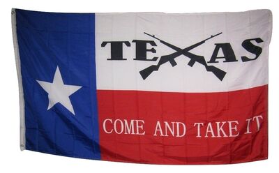 State of Texas Come and Take It Crossed Rifles Rough Flag