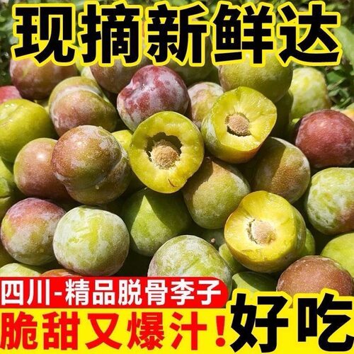 甘肃青李子新鲜水果当季现摘青李青梅李子脆甜多汁孕妇水果