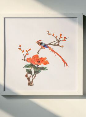 蝴蝶展 蝶翅画展 昆虫展 蜻蜓展 艺术展标本展 流动展害虫展动物2