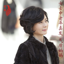 Perruque      - Ref 2613750 Image 26