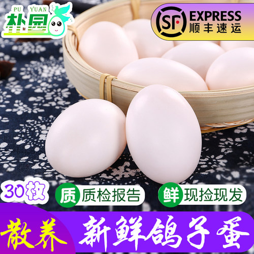 【现货即发】30枚精选鸽子蛋顺丰包邮新鲜散养土鸽蛋白鸽蛋信鸽蛋 - 封面