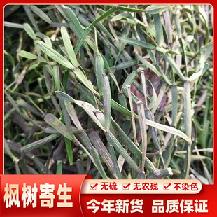 中药材野生枫树寄生 螃蟹寄生 枫香树寄生 路路通寄生 新货