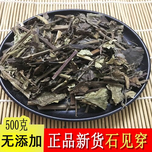 中药材石见穿新品干货