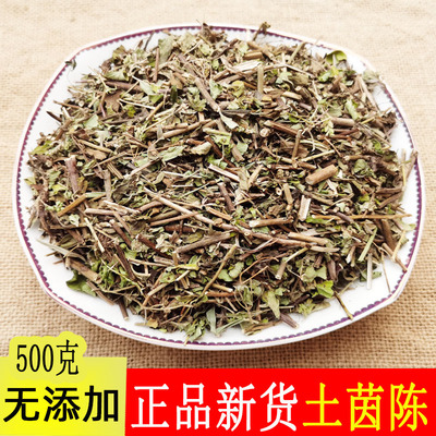 广西中药材土茵陈今年新货