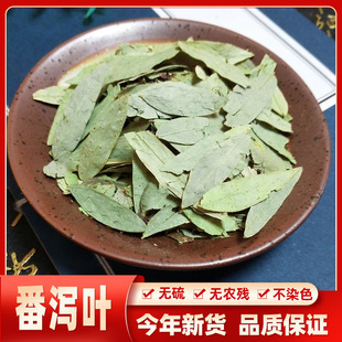 番茄叶花茶 中药材潘泻叶茶 蕃泻叶 泻叶500克可打粉包邮