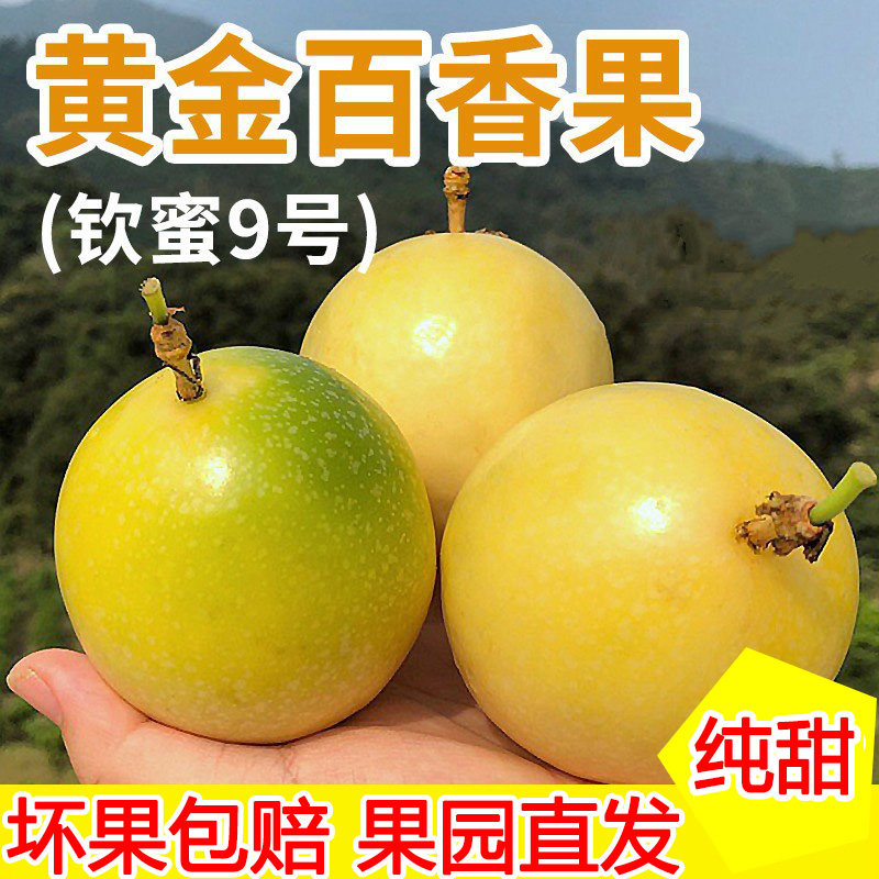 福建钦蜜9号黄金百香果5斤新鲜果园直发水果应季当季纯甜整箱包邮