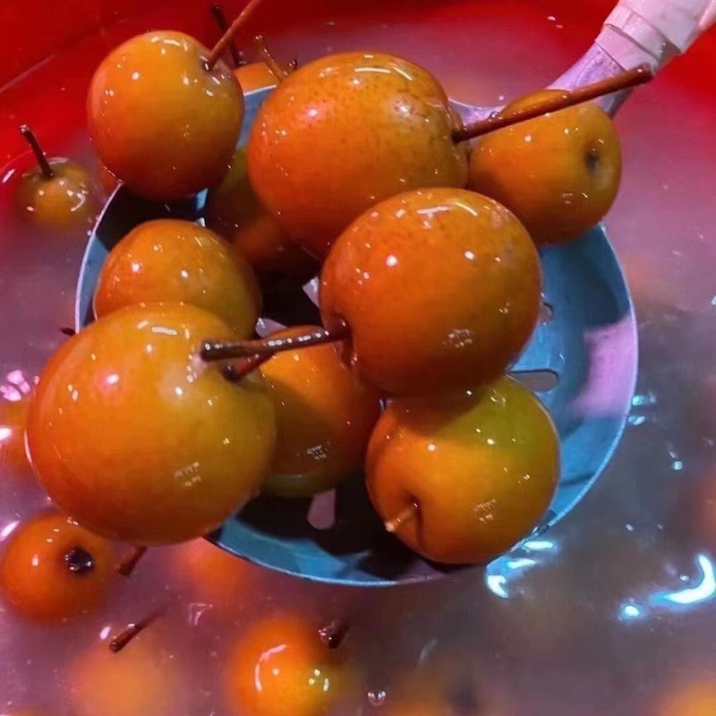 潮汕特产咸梨水泡梨咸甜脆