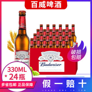 百威经典醇正啤酒330ml*24瓶整箱瓶装精酿黄啤小麦熟啤酒新鲜日期
