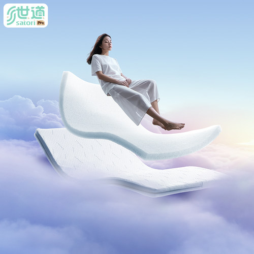 世道分压空气弹簧可水洗硬垫