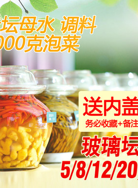 母水玻璃酸辣泡菜萝卜豆角坛子