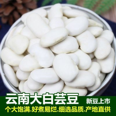 精选大白芸豆1500g 新货白云豆正宗云南芸豆杂粮配红芸腰豆沙原料