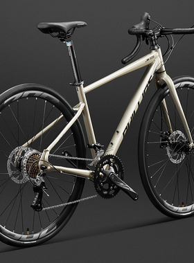 菲利普公路车自行车青少年变速单车男式上班代步成人男款女士赛车