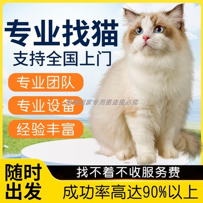 宠物寻找服务找猫服专业务寻猫团队宠物侦探寻找宠物搜救寻找宠物
