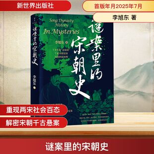 谜案里的宋朝史 新世界出版社 李旭东 著 中国通史