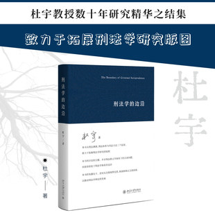 刑法学的边沿 北京大学出版社 杜宇 著 著 法学理论