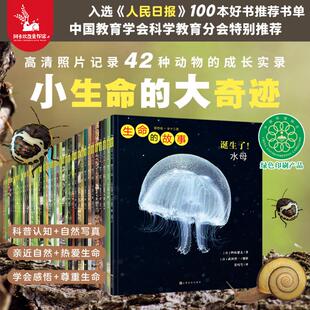 生命的故事(1-4辑)(全42册) 上海文化出版社 (日)小杉美野里 等 著 彭懿 等 译 科普百科