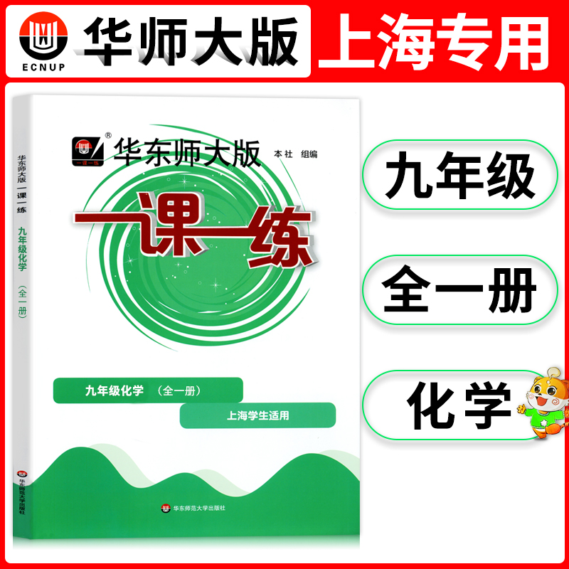 2024一课一练化学9年级九年级