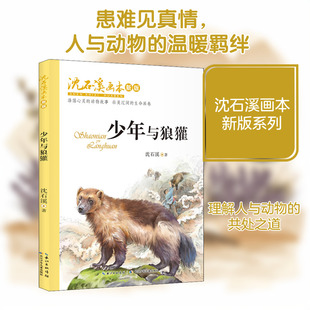 少年与狼獾 长江少年儿童出版社 沈石溪 著 绘本/图画书/少儿动漫书