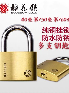 梅花锁小中大纯铜防水仓库铁门