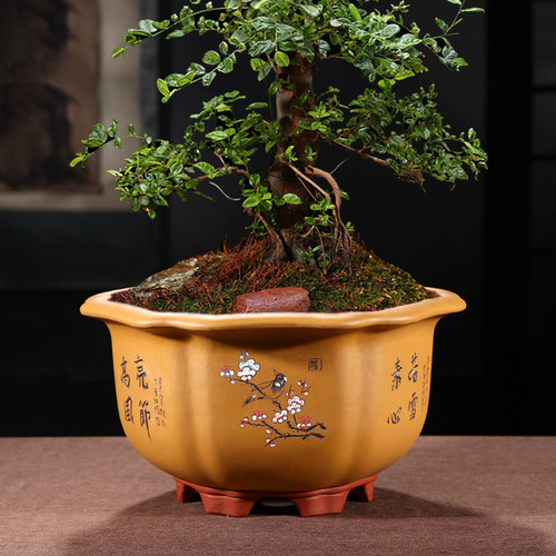 六角紫砂花盆大口径透气家用花盆