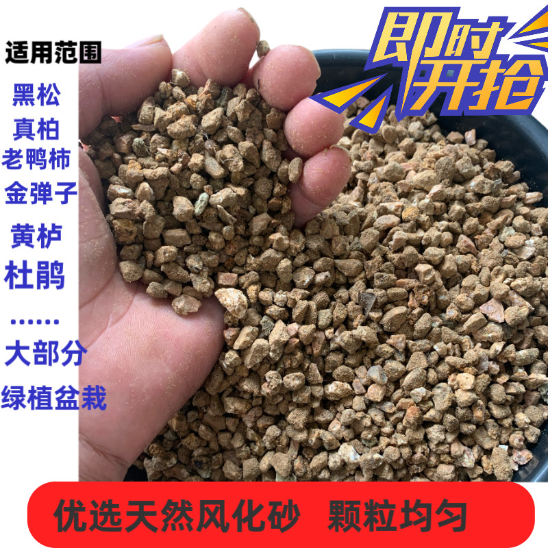 精筛选风化砂多肉颗粒土保湿营养土透气透水不板结生根快盆栽绿植,鲜花速递/花卉仿真/绿植园艺,介质/营养土,淘宝优惠券,粉丝福利购,淘宝优惠卷