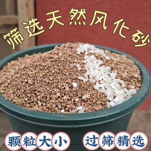 通用筛选颗粒砂风化砂养花盆栽透气疏松盆景植物利于生根植物盆栽