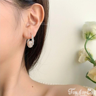 Ring Earrings 圆润珍珠装饰闪耀碎银圆环插扣耳环