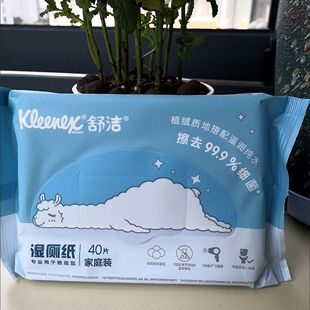 舒洁湿厕纸除菌卫生40片厕湿纸巾湿巾男女屁屁私处清洁实惠便携装