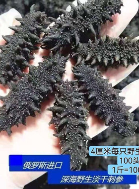 俄罗斯干海参100头野生海参孕妇老年人零食即食海参营养滋补品