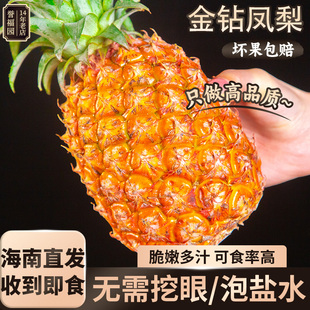 海南金钻凤梨新鲜水果当季应季正宗一级菠萝手撕10斤大果整箱特产