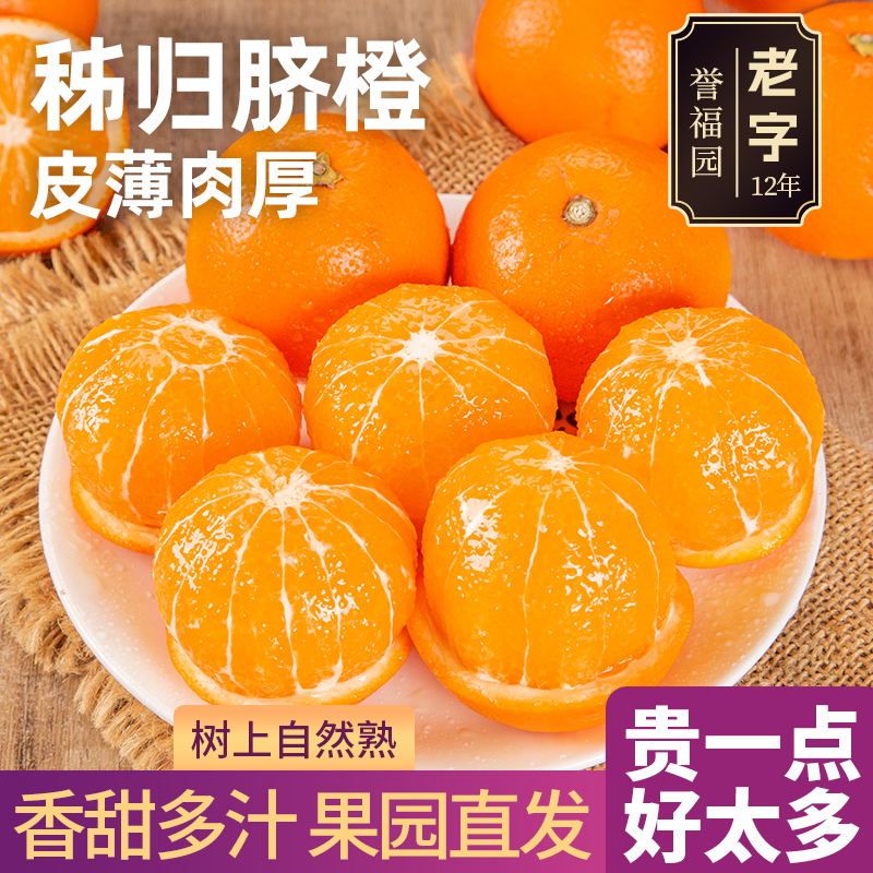 三峡脐橙纽荷尔摆摊榨汁橙子专用批发商用秭归新鲜水果蜜雪同款斤