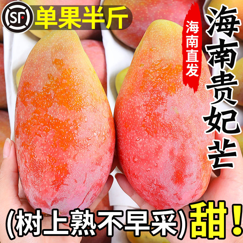 海南贵妃芒新鲜芒果应当季水果树上熟红金龙辣椒芒甜心芒大果包邮