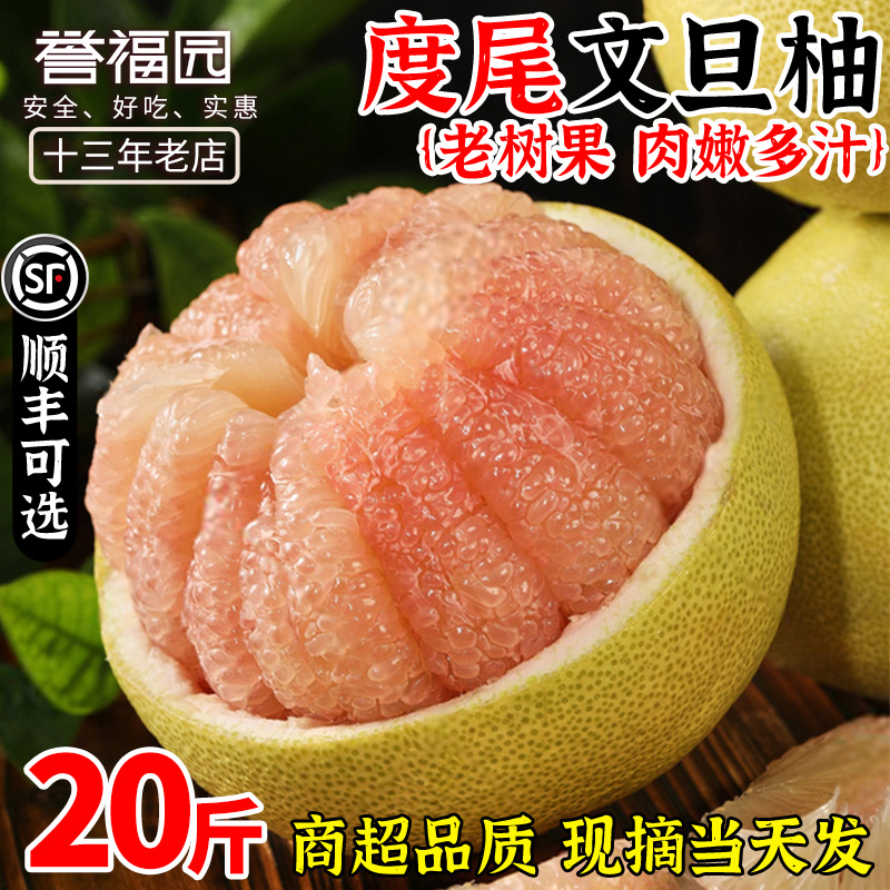 正宗度尾文旦柚产地直发