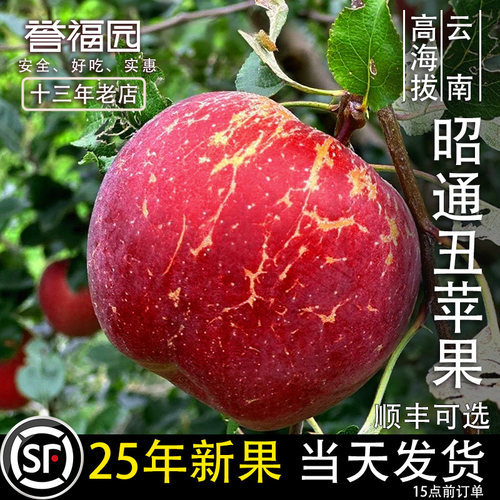 收藏加购，优先发货