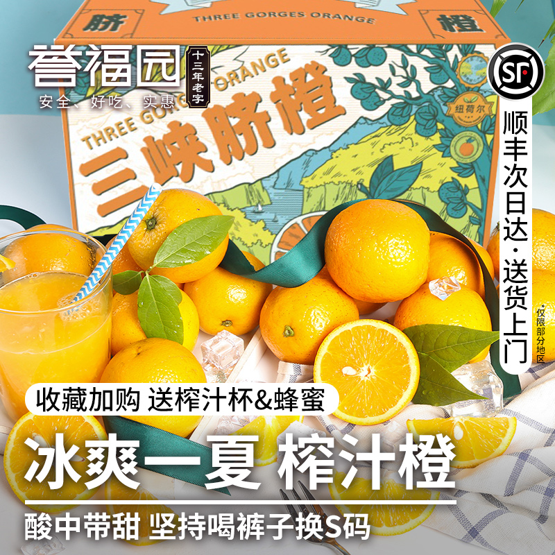果肉饱满多汁  适合榨汁  甜度适宜