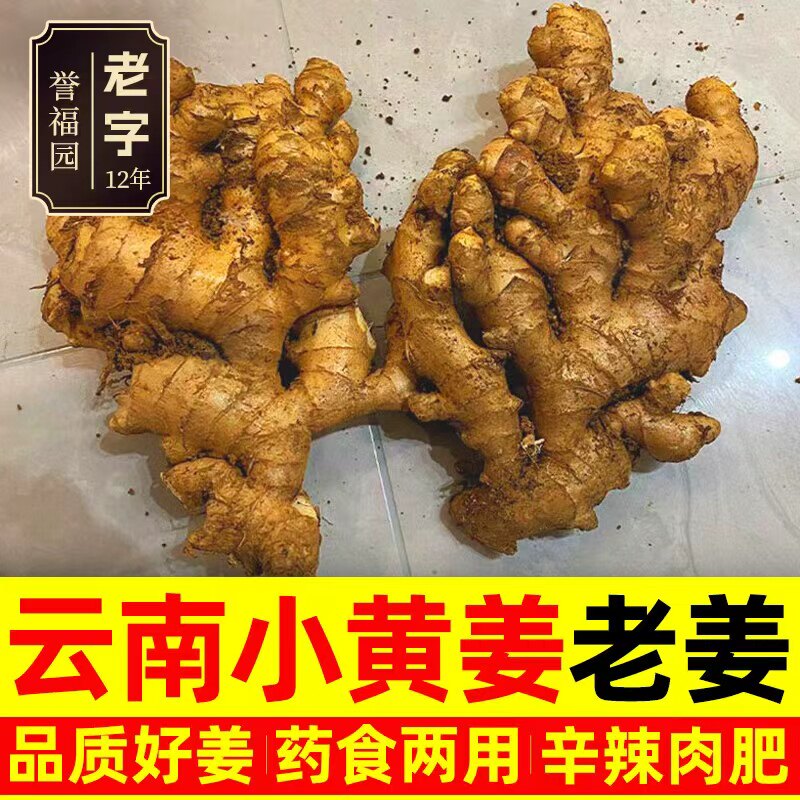 正宗云南小黄姜9斤整箱批发高山生姜月子姜老姜饭店专供辛辣十足