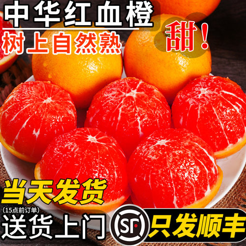 【顺丰包邮】正宗秭归中华红血橙