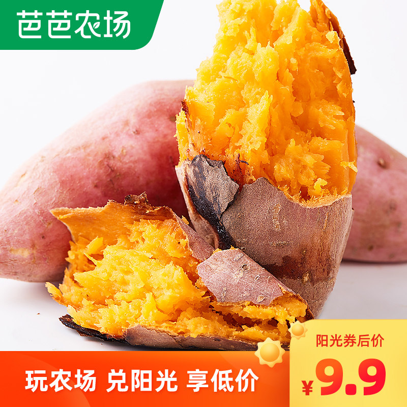 【芭芭农场】三峡高山红薯农家新鲜香薯新鲜红苕地瓜现挖番薯5斤