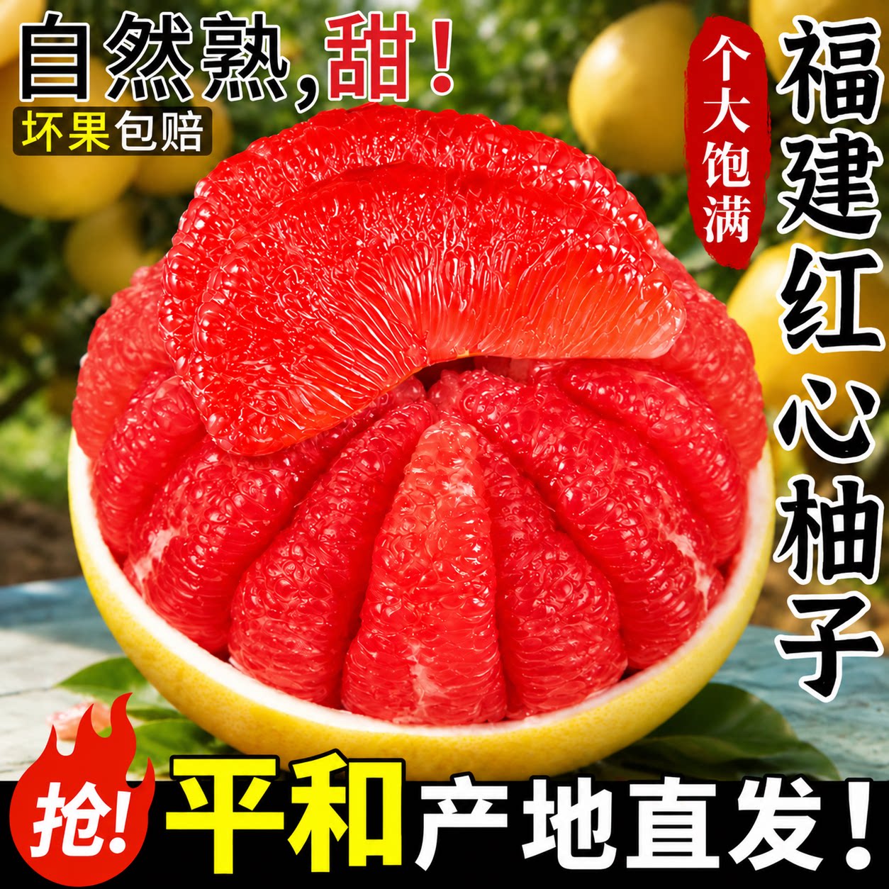 福建平和产地直发正宗红心柚子