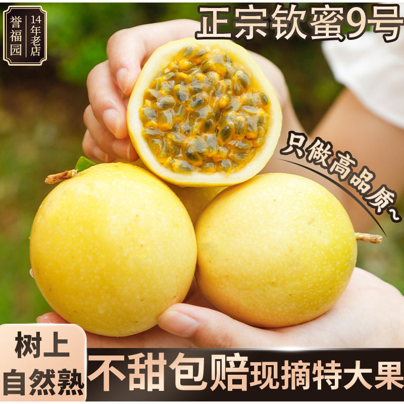 誉福园广西钦蜜9号黄金百香果整箱装新鲜水果券后12.8元