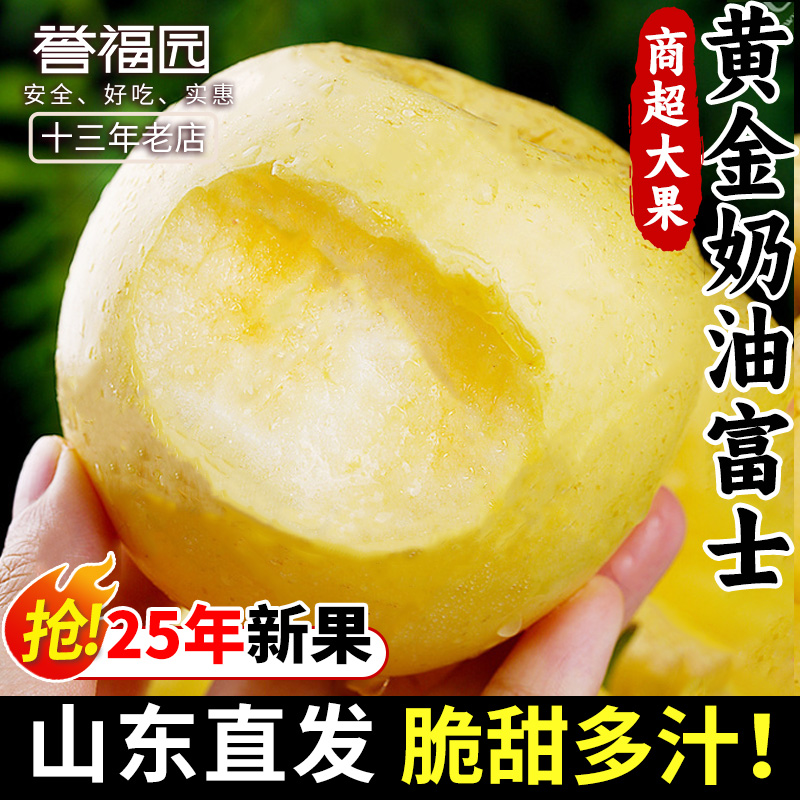 山东烟台黄金奶油富士苹果当季正宗奶油苹果8.5整箱包邮时令鲜果